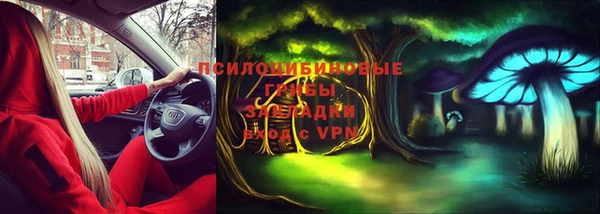 ПСИЛОЦИБИНОВЫЕ ГРИБЫ Гусь-Хрустальный