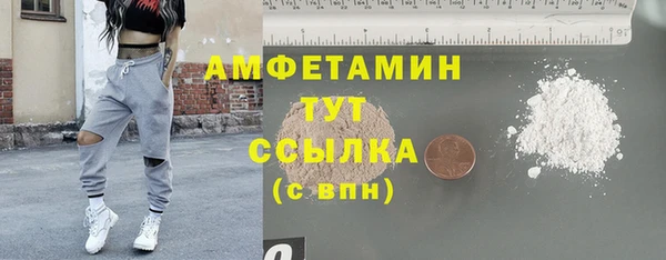ПСИЛОЦИБИНОВЫЕ ГРИБЫ Гусь-Хрустальный