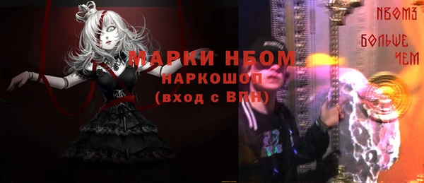 ПСИЛОЦИБИНОВЫЕ ГРИБЫ Гусь-Хрустальный