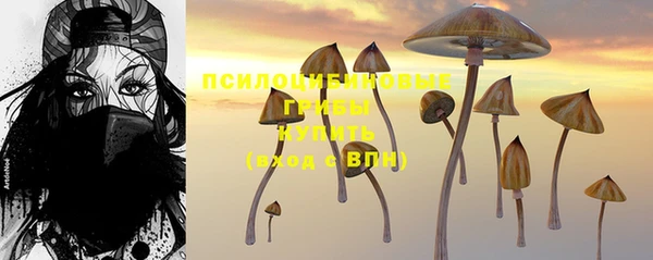 таблы Горнозаводск