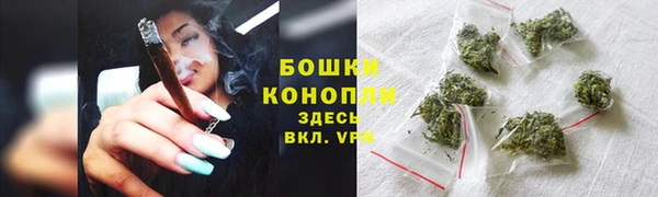 первитин Гусиноозёрск