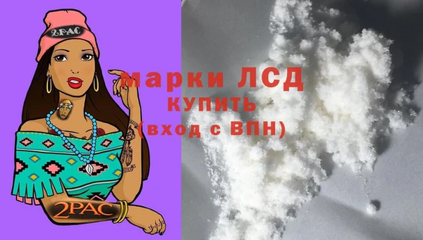 ПСИЛОЦИБИНОВЫЕ ГРИБЫ Гусь-Хрустальный