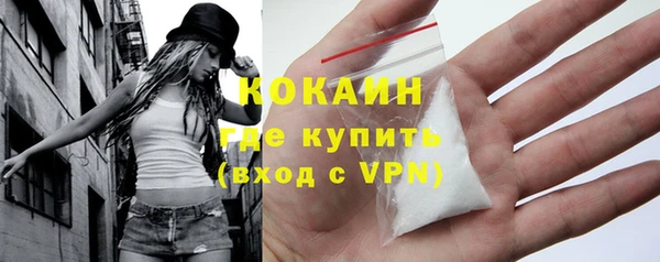 ПСИЛОЦИБИНОВЫЕ ГРИБЫ Гусь-Хрустальный