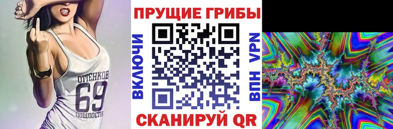Купить закладки  Куровское  Галлюциногенные грибы мицелий 