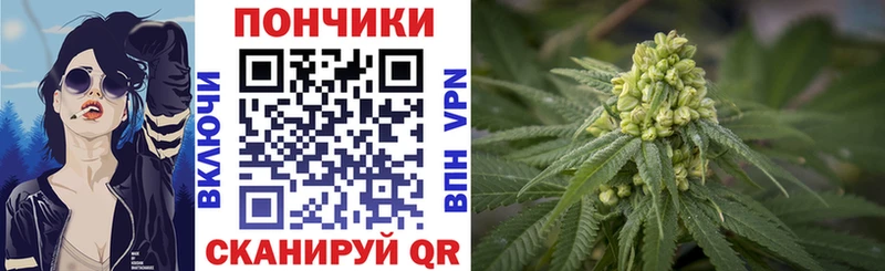 Купить закладки Куровское Бошки марихуана семена
